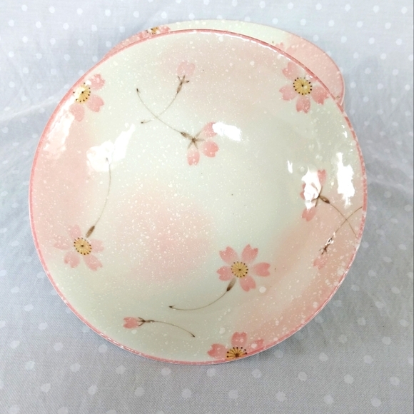 Mino Japan Pink and Cream Sakura Cherry Blossom Ceramic Bowls (4) - Picture 2 of 5